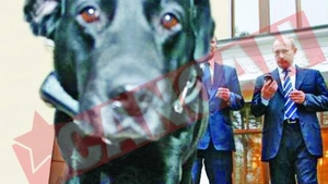 Putin isi tine cateaua flamanda