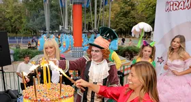 Galerie foto - poza 2