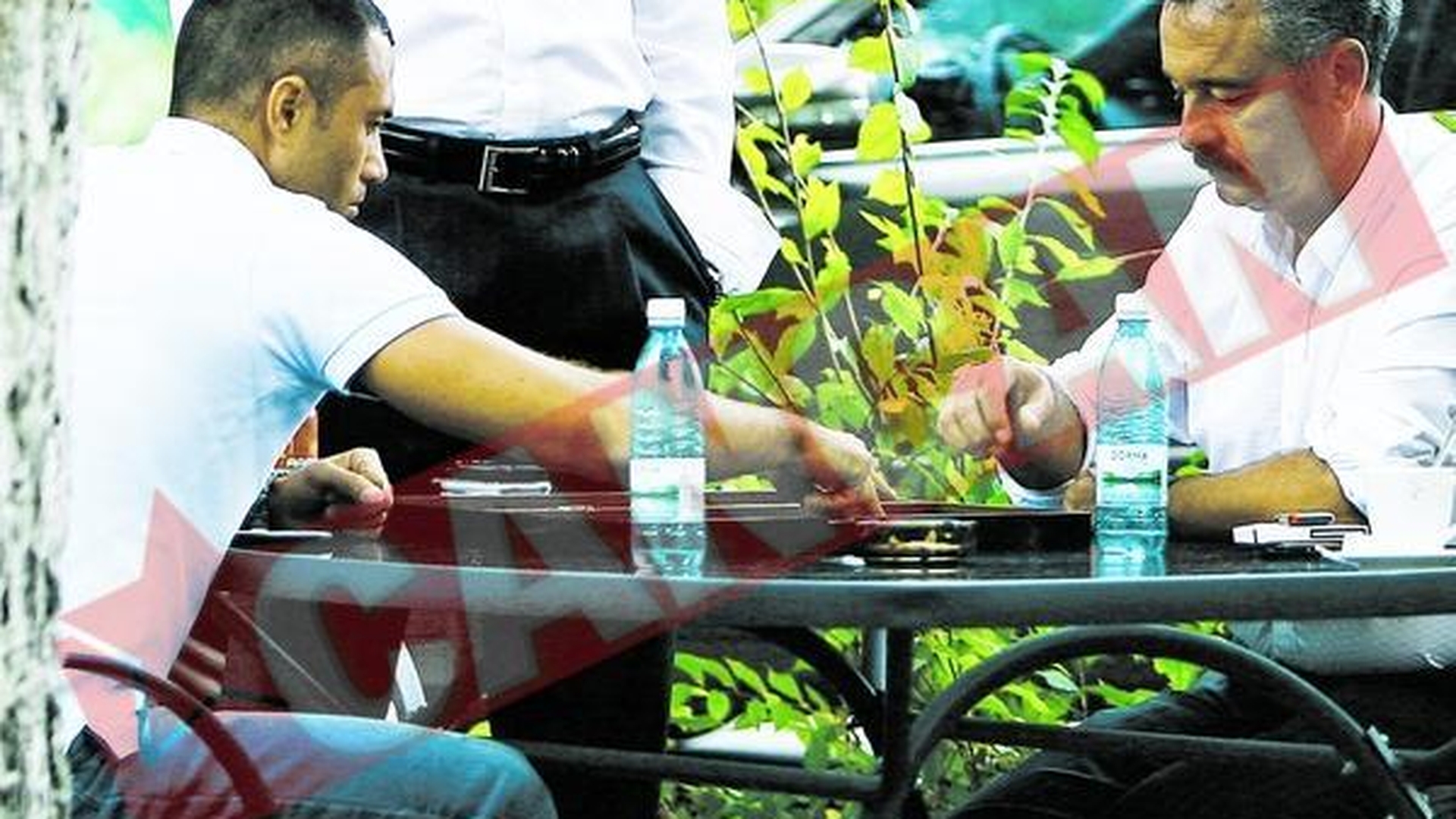 Cobra musca si la table