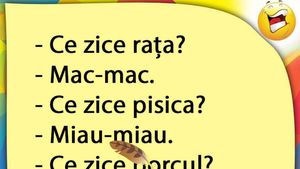 BANCUL ZILEI | Rața, pisica și porcul