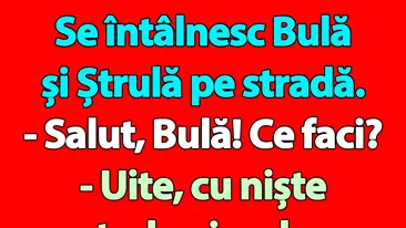 BANC | Bulă și Ștrulă se întâlnesc la Piața Sudului