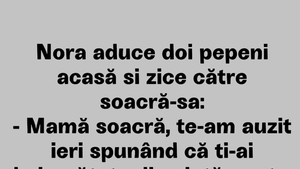BANCUL ZILEI | Nora, soacra și pepenii