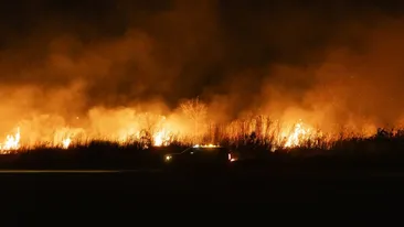 Bilanțul morților în urma incendiilor din Los Angeles. Ce se întâmplă acum cu nominalizările la Oscar