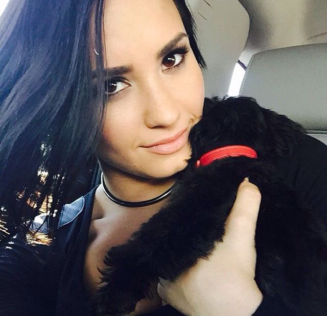 Demi Lovato, spitalizată! Cântăreața a fost găsită inconștientă în casă în urma unei supradoze