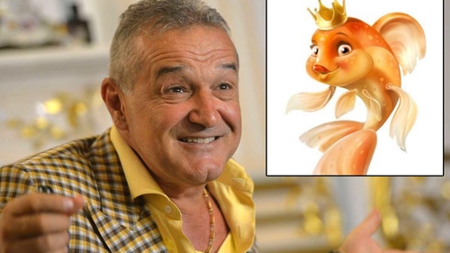 BANC | Gigi Becali prinde peștișorul de aur