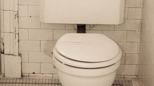 FARSA care a bagat-o in spital! Ce-a patit o femeie dupa ce s-a asezat pe acest WC! Medicii s-au ingrozit cand au vazut-o asa!