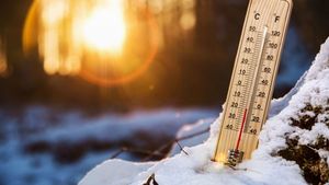 Luna ianuarie, fără zăpadă! Temperaturile urca la valori nefirești pentru această perioadă. Prognoza meteo pentru următoarele patru săptămâni