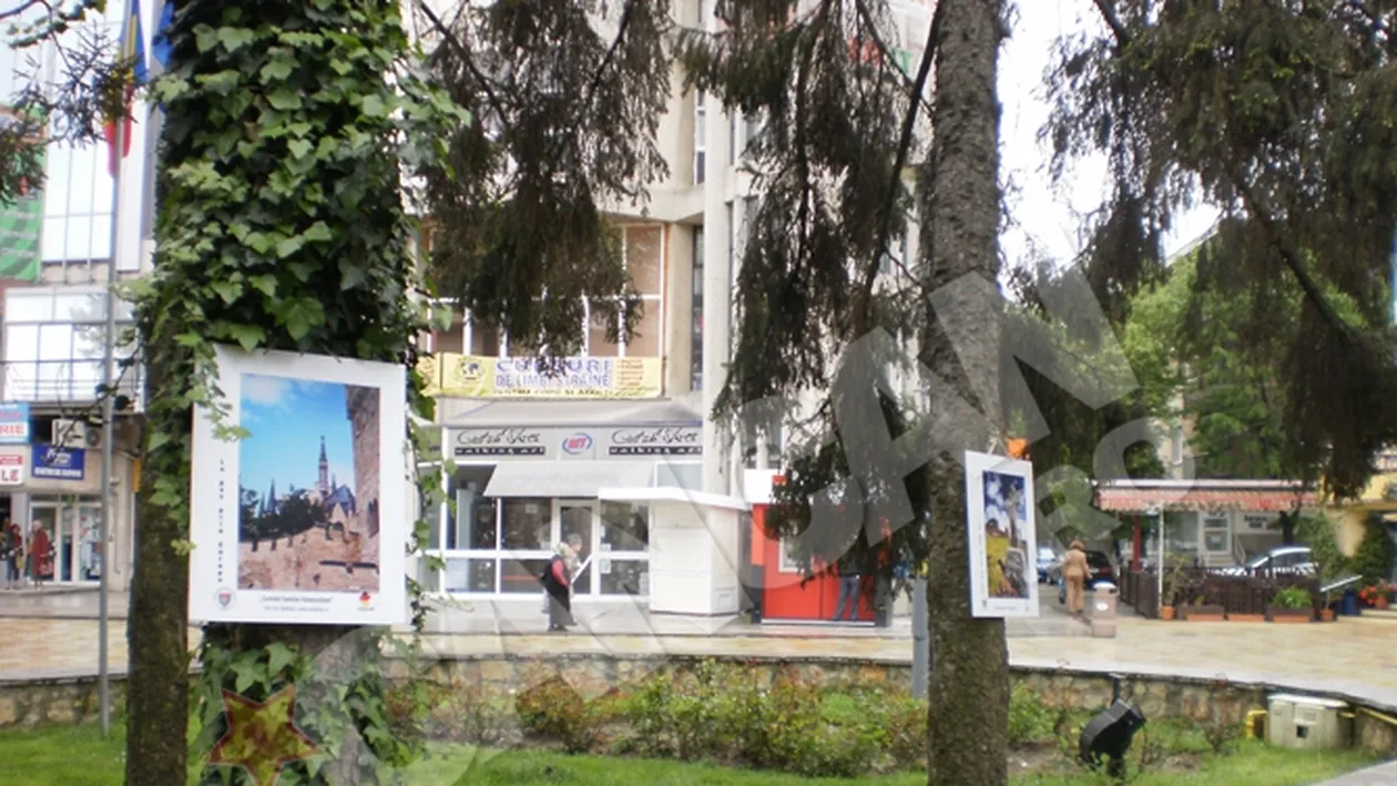 Tablouri atarnate in copaci la Pitesti