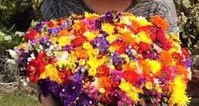 Galerie foto - poza 3