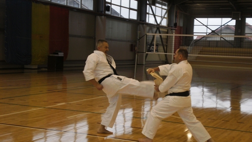 Cand nu e la Parlament, senatorul Serban Valeca da lectii de karate! Printre elevi e si fiica lui