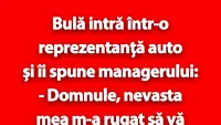 BANC | Bulă intră într-o reprezentanță auto