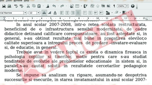 "Succesurile" Elenei Basescu au intrat in limbajul didactic