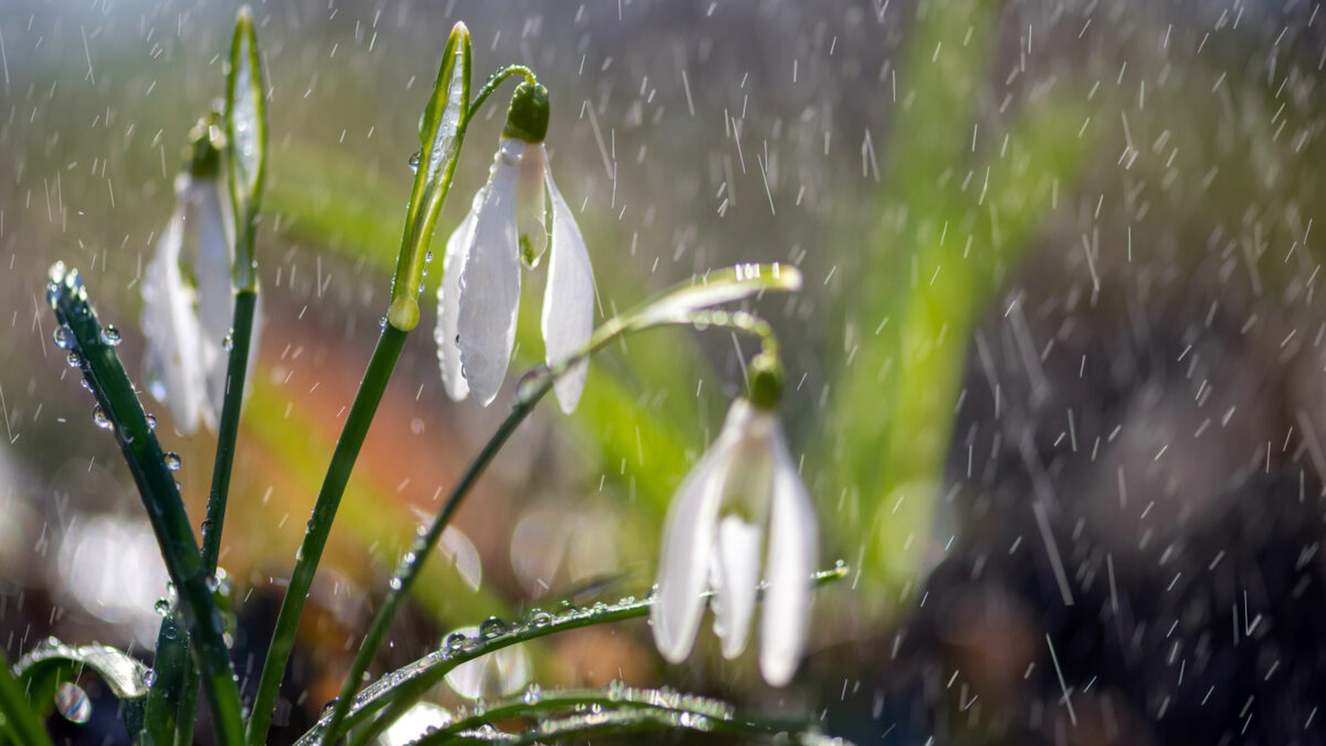 Prognoza meteo azi, 7 aprilie 2026. Vremea se răcește brusc în Marțea Mare: ploi, lapoviță și ninsori în aceste zone din România
