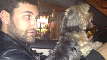 Smiley il invata pe cainele Laurei Cosoi sa conduca masina! Crezi ca il vom vedea in curand la Romanii au talent?