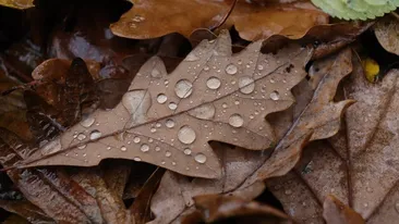 Prognoza meteo pentru următoarele 4 săptămâni. Cum va fi vremea de Moş Nicolae