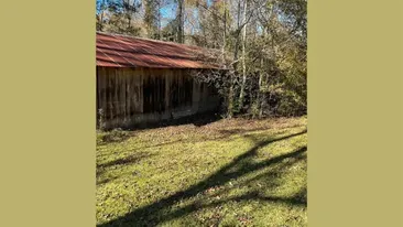 Iluzie optică pentru genii | Găsiți șarpele ascuns în această imagine! Aveți doar 11 secunde la dispoziție