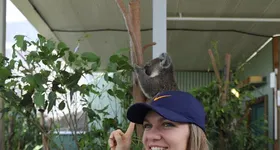 Galerie foto - poza 4