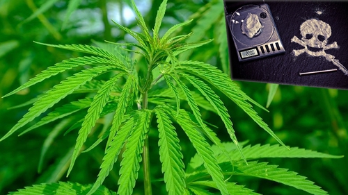 Consumul de droguri a crescut în Europa, iar cocaina capturată a atins un nivel record. Din ce zonă a României au fost confiscate peste 90 de kg de canabis