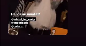 Galerie foto - poza 3