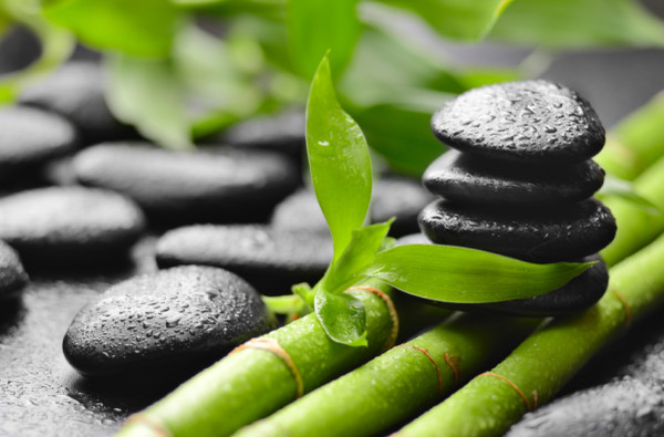 Feng Shui este o artă prin care se studiază energia vitală care ne înconjoară