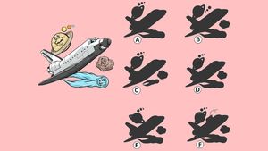 Test de inteligență pentru genii | Identificați umbra corectă a avionului din imagine!