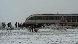 Tragedie in Romania! A omorat-o pentru ca isi dorea telefonul ei mobil