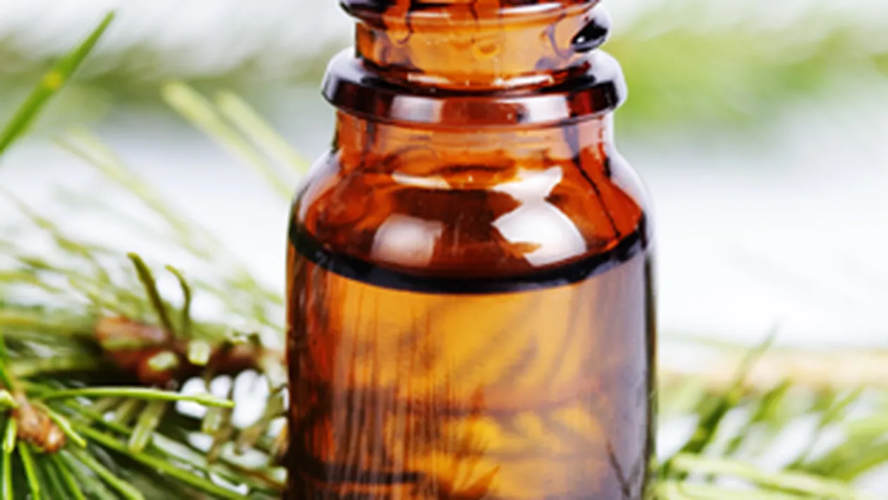 Bradul, intre poveste si medicatie. Ce boli poti trata cu sirop din muguri de brad si cum sa-l prepari acasa