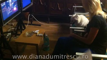 Diana Dumitrescu joaca alaturi de catelusa ei, Abi, in Pariu cu viata: Nu credeam ca se va descurca atat de bine!