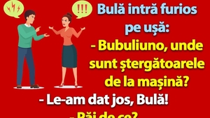 BANC | "Bubuliuno, unde sunt ștergătoarele de la mașină?"