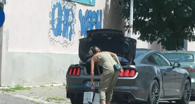 Galerie foto - poza 2