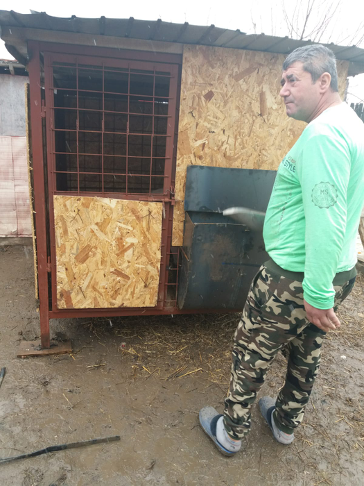 Toți sătenii din Rusănești speră ca porcii-santinelă să fie sănătoși după 45 de zile