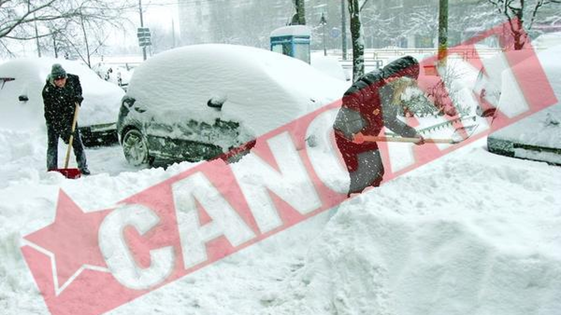 Vreme de primavara in ianuarie