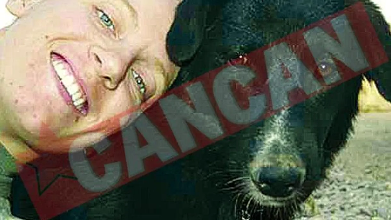 Nu are voie sa adopte un catel irakian