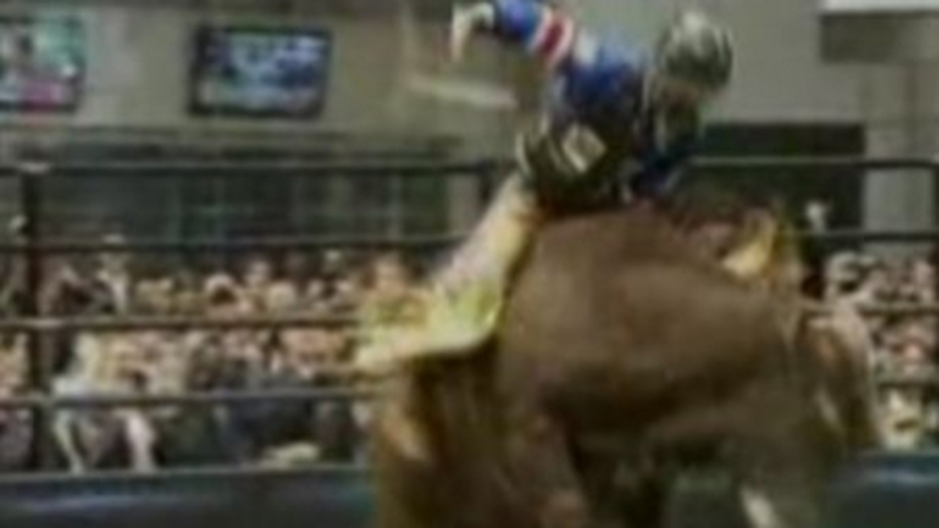 VIDEO Concurs de rodeo, organizat in cetrul New York-ului