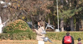 Galerie foto - poza 3