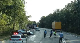 Galerie foto - poza 2