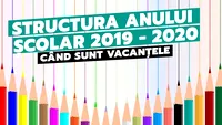 Structura anului școlar 2019 - 2020. Când sunt vacanțele