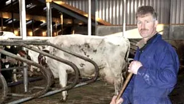 Afara cu balegaru` din curte!