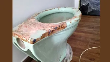 Nu este o glumă! Ce a pățit un bărbat din Cluj-Napoca, după ce a dat anunț că donează acest vas de WC