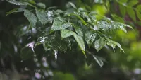 Meteo 9 iunie! Vremea continuă să fie capricioasă, iată când va fi cald şi frumos