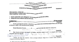 Galerie foto - poza 1