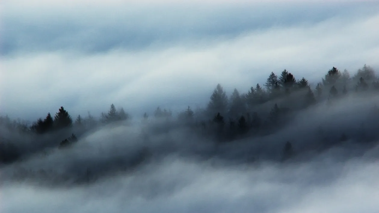 Avertizare COD GALBEN de ceaţă şi vânt pentru mai multe judeţe, Bucureşti, A1, A2 şi A3