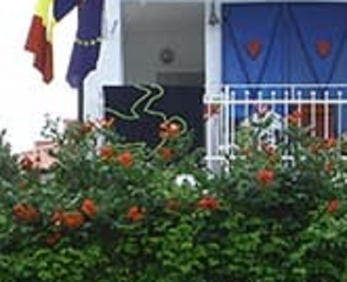 Detaliul înfiorător