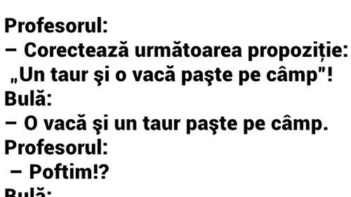 BANC | Profesorul: "Bulă, corectează următoarea propoziție: Un taur și o vacă paște pe câmp"