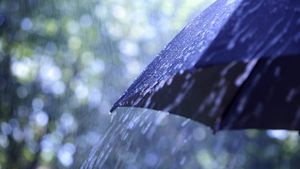 Prognoza meteo. Ce temperaturi și ce cantități de precipitații vor fi în România, în luna octombrie