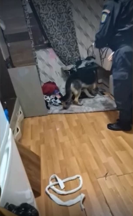 Clanul Toporaru din București a fost anihilat. Liderul și fiii săi au fost încătușați în urma unor percheziții care au fost filmate | FOTO