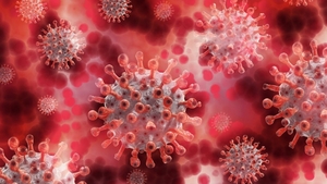 Bilanț coronavirus România, 1 septembrie 2021. 1443 de cazuri s-au înregistrat în ultimele 24 de ore