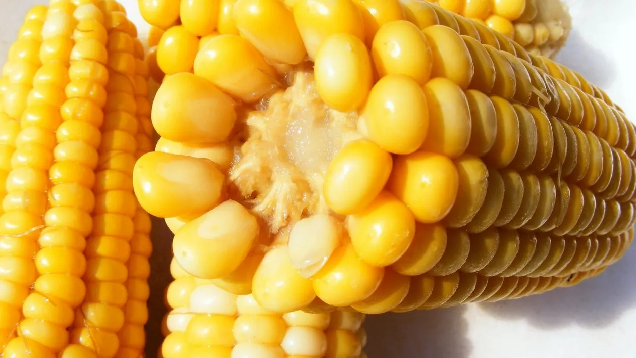 Nu, nu este o glumă! Cât a ajuns să coste un porumb fiert pe plaja de la Mamaia