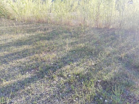 Stadionul Municipal din Bacău a ajuns în paragină