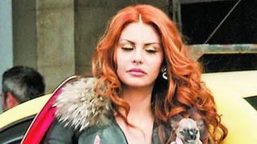 A infiat un pui de chihuahua